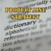 Lexicon of Product Line Strategy